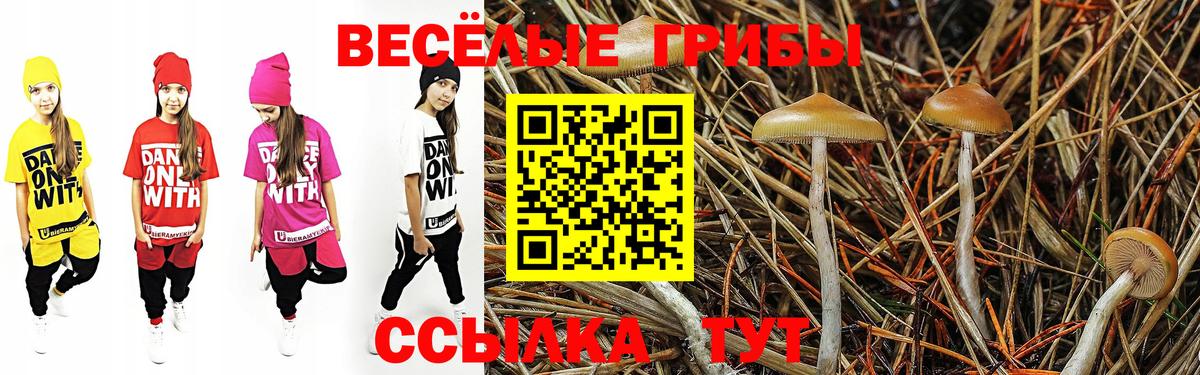 Элиста  продажа наркотиков  Вход с VPN  Псилоцибиновые грибы MAGIC MUSHROOMS  Галлюциногенные грибы Cubensis 
